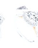 Gabriel & Co. Amavida Diamond Halo Ring Mounting in 18K White & Rose Gold
